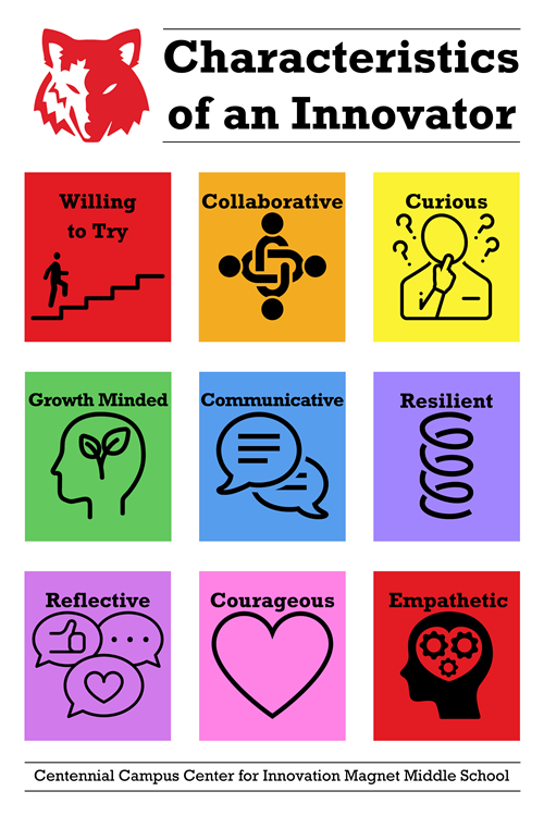 characteristics of an innovator